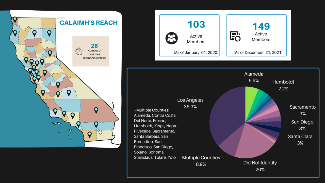 CalAIMH Member Data (1)