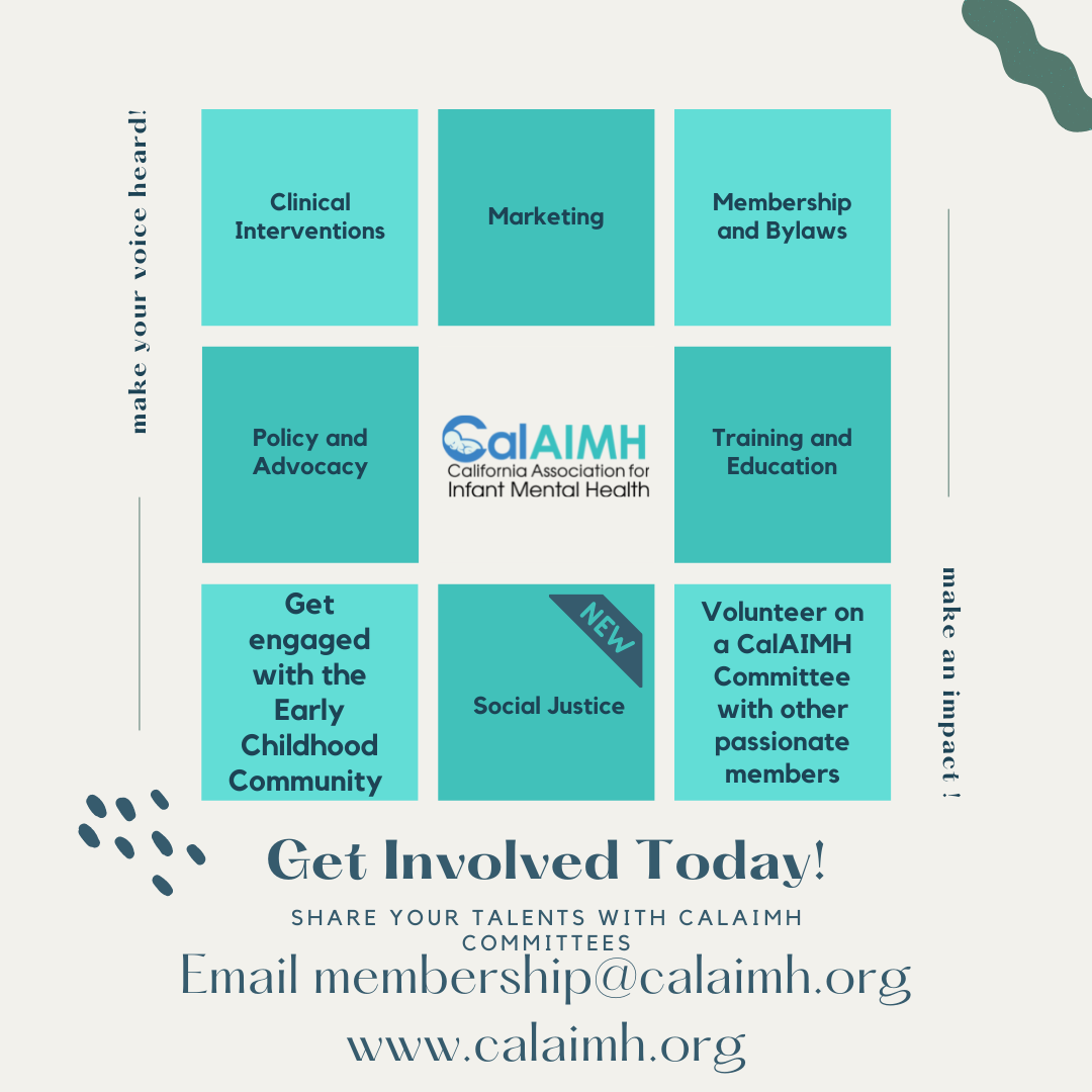 CalAIMH Committees