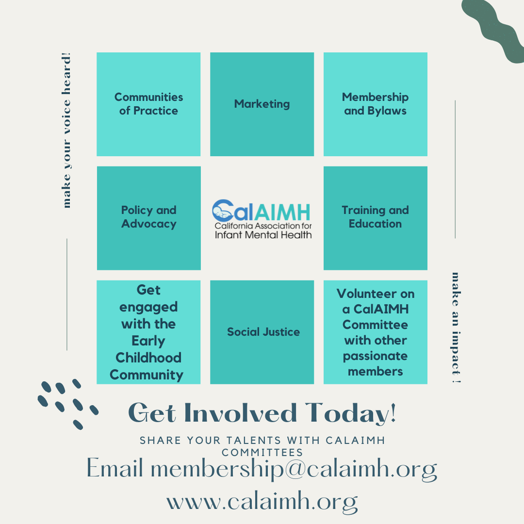CalAIMH Committees