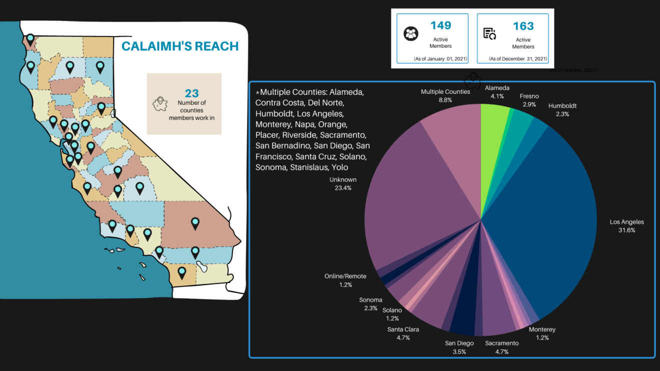 CalAIMH Member Data 2021