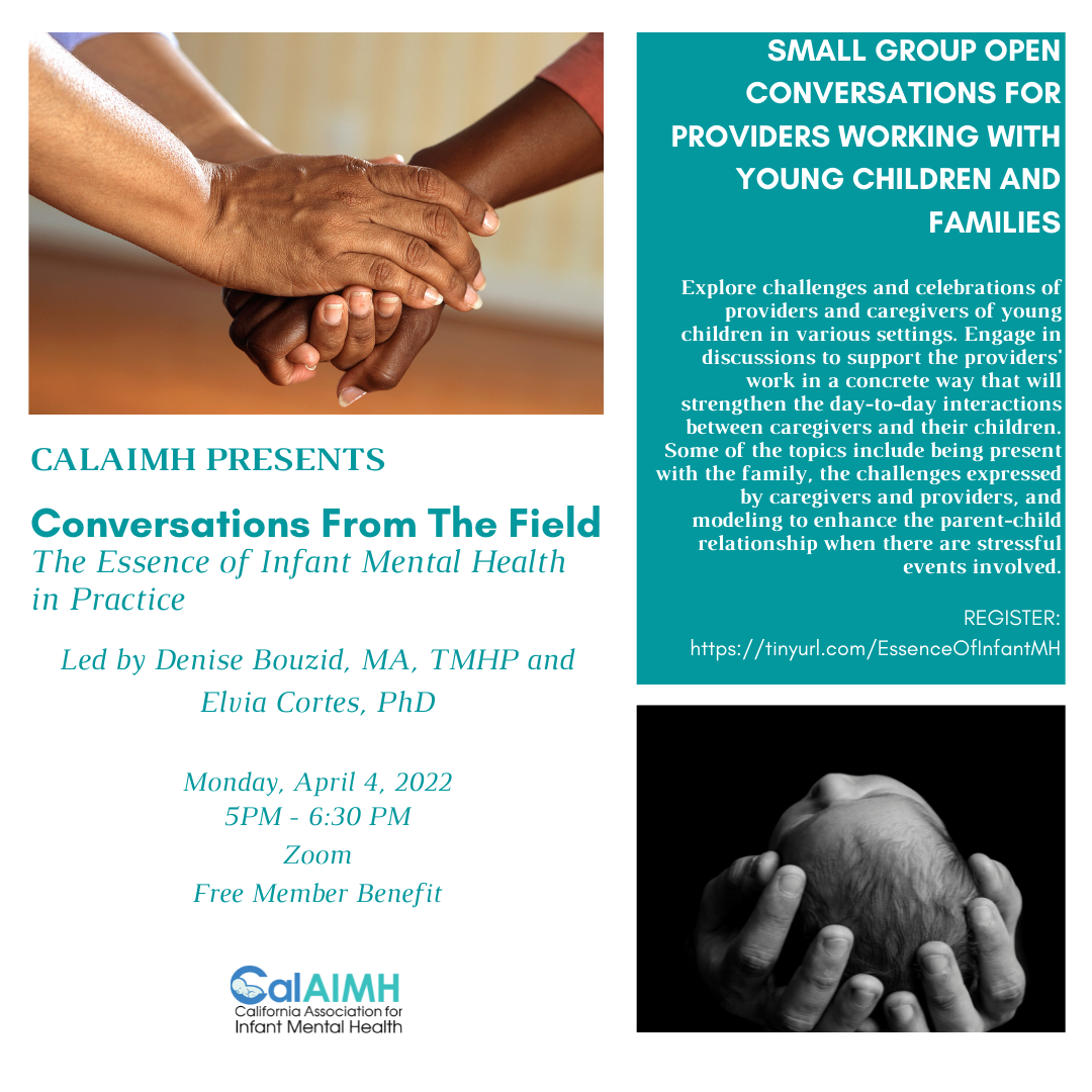 Conversations From the Field - The Essence of Infant Mental Health in Practice
